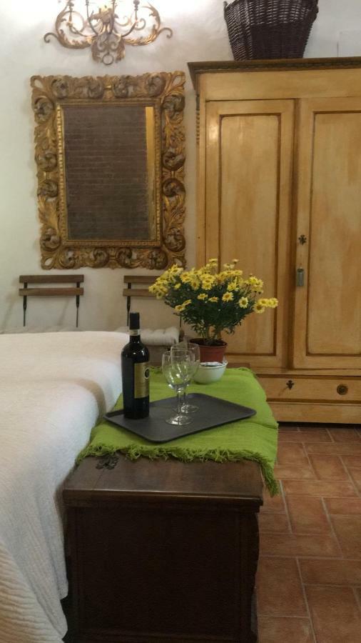 La Chiocciolina Apartment Lucca Luaran gambar